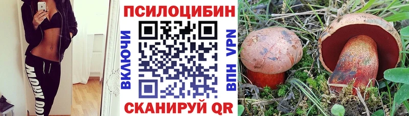 Псилоцибиновые грибы мицелий Навашино